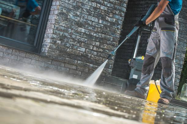 Animal Enclosure Cleaning in Lake Ripley, WI